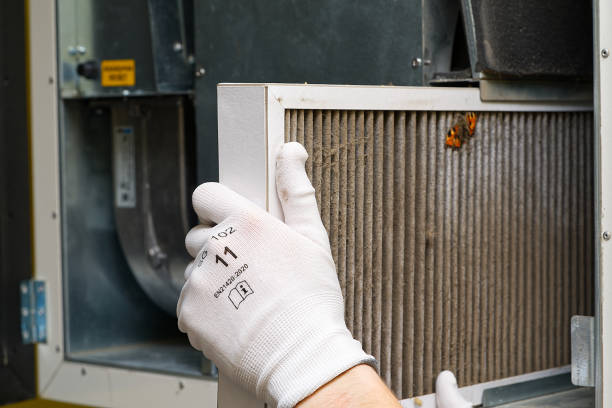Best Air Duct Cleaning Near Me  in Greenwood, MS
